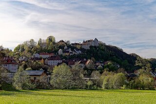 Baybern Natur Freiberger @ 